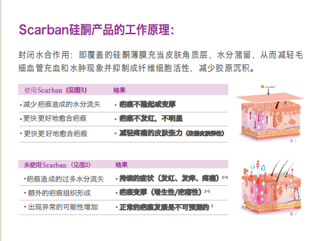26058_zori_6551.png